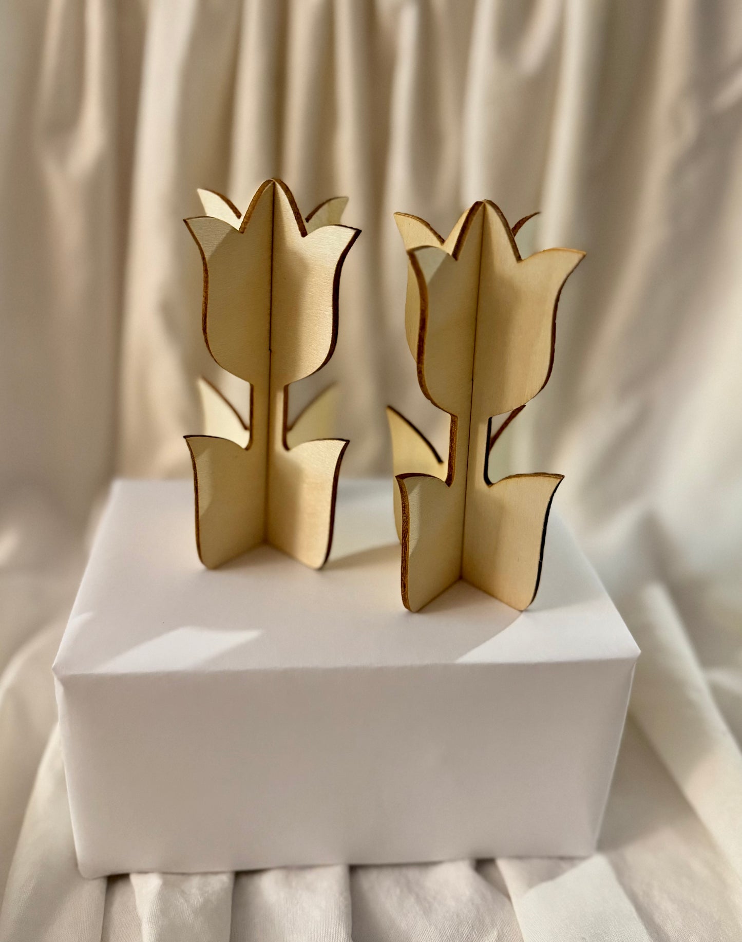 Paint Your Own Wooden Flower Kit